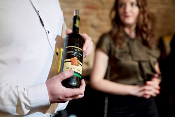 ochutnavka-vin-narodny-salon-vin-degustacia-vina