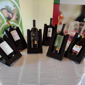 Národný salón vín SR 2023 - šampióni 2. kola súťaže